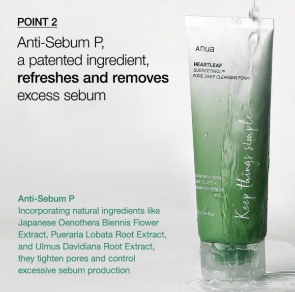 (Korean)Heartleaf Quercetinol, Pore Deep Cleansing Foam , 5.07 fl oz (150 ml) - Image 3