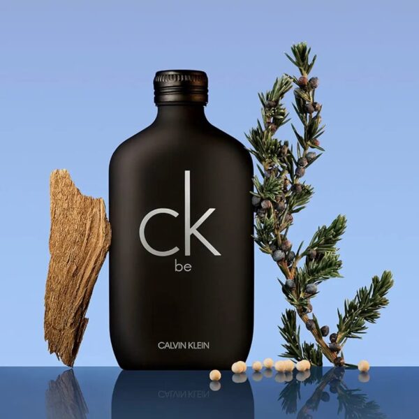 Calvin Klein CK BE Unisex Eau de Toilette, 200 ml - Image 2