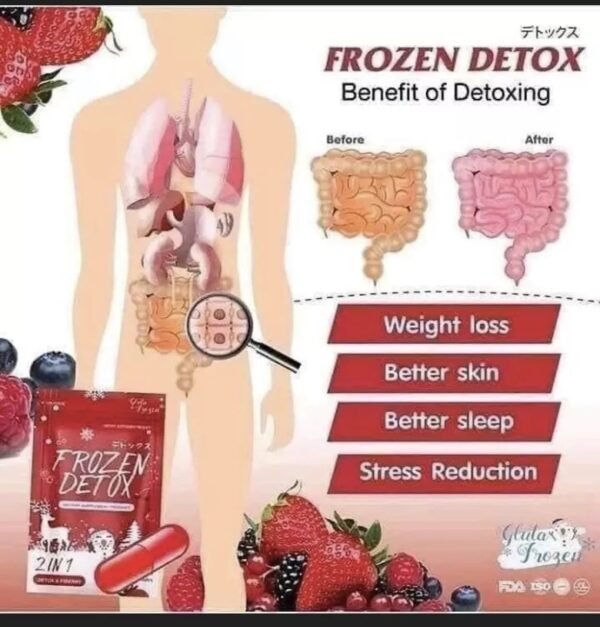 Frozen Detox and Fiberry Capsules with Psyllium Husk and Indian Gooseberry - Image 13